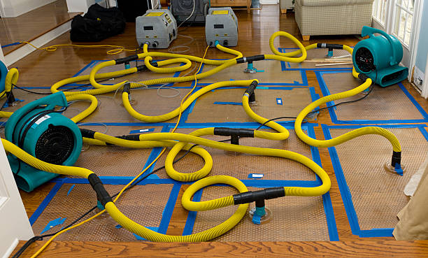Professional Flood Damage Restoration technician working in Iona, ID